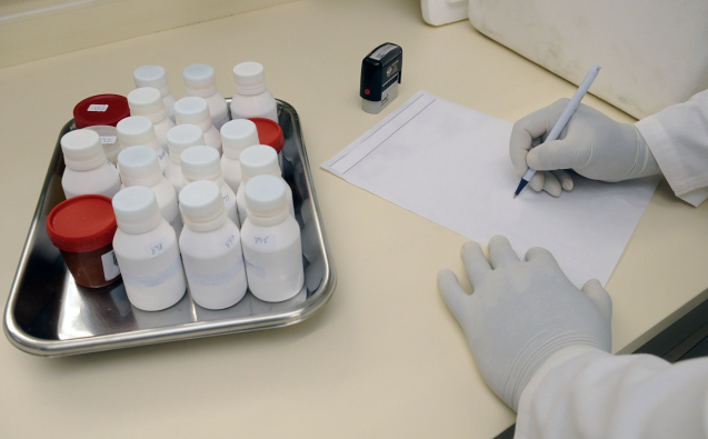 pexels-pixabay-207601